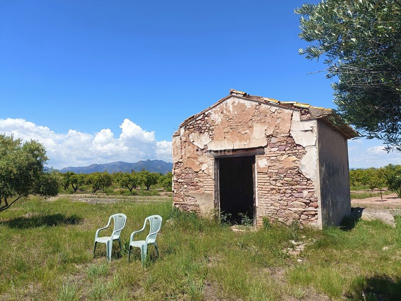 Foto a66e004c-e9a1-4887-8b92-965e915504b3. Finca rústica a n/a a Llombai Burriana