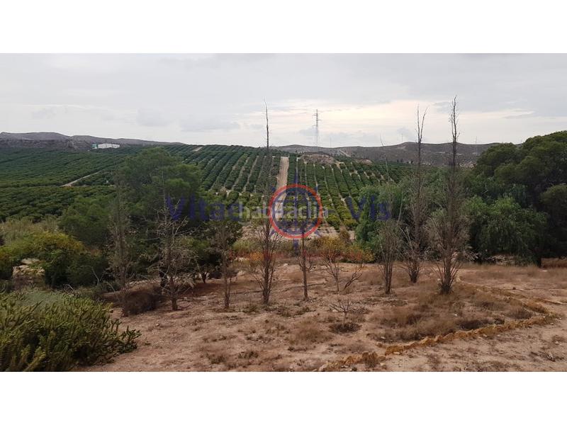 Foto 028c83c9-413b-448a-b2d6-f228db1bc78e. Masia a Almendricos a Almendricos Lorca