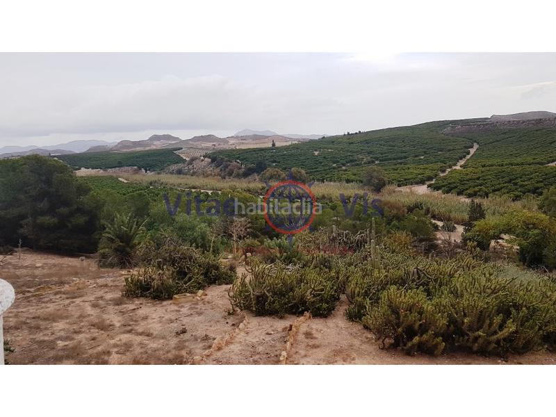 Foto 2a60aef4-ecb0-4a3f-9e0f-3a8fb0f17d01. Masia a Almendricos a Almendricos Lorca