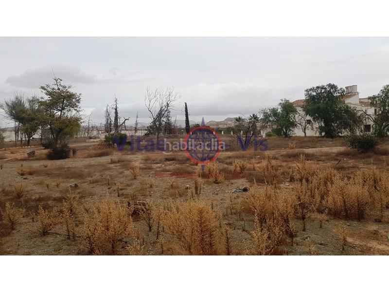 Foto 56ae0572-2d79-4b55-952f-f360b318cfb2. Masia a Almendricos a Almendricos Lorca