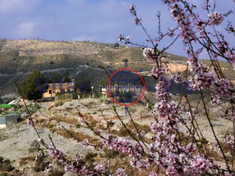 Foto 2b786ba2-e244-47b9-8187-4d7d4b01a765. Maison avec chauffage parking piscine dans Parrilla Lorca