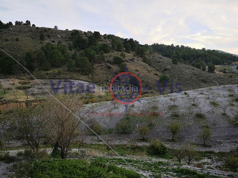 Foto 8c74a3a7-7c84-4dff-990e-35f503679191. Maison avec chauffage parking piscine dans Parrilla Lorca