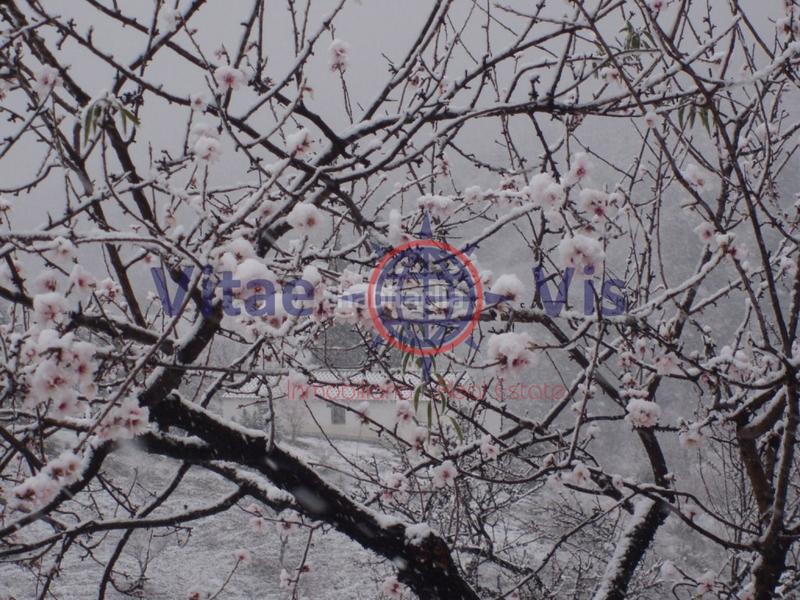 Foto a0eb1221-dcf6-401c-ac3c-c165f363016b. Maison avec chauffage parking piscine dans Parrilla Lorca