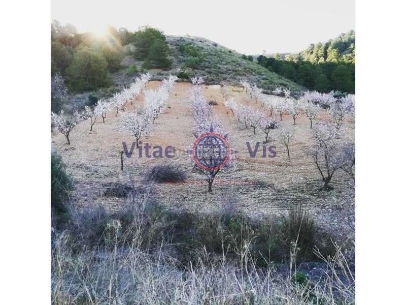 Foto a32bbc32-d55c-4789-b76b-8f3e1f450478. Maison avec chauffage parking piscine dans Parrilla Lorca