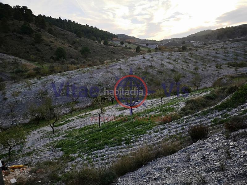 Foto e3c27b8f-3ea0-4591-82d2-efd3b7efc016. Maison avec chauffage parking piscine dans Parrilla Lorca