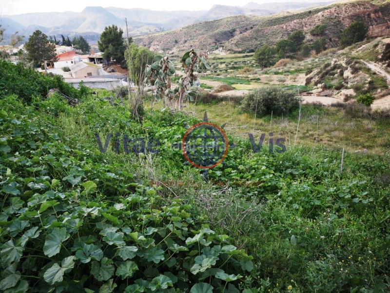 Foto a7042afd-90c3-4084-a87e-9b7fd3f15215. Maison avec parking dans El Río Lorca