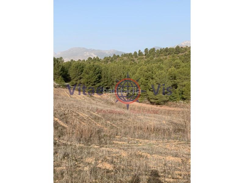 Foto 5e0077fc-2423-4a4e-ab5b-71daf18d5ce7. Terreno residencial en travesia fuensanta 01 parcela de secano edificable en la parroquia el cimbre en Lorca