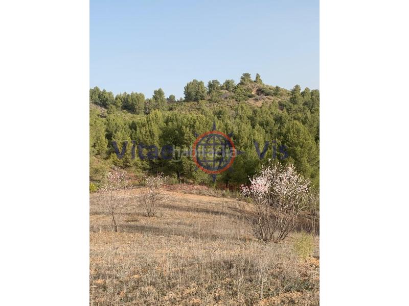 Foto a4c3ab60-0052-4091-8579-8cd9228a8180. Terreno residencial en travesia fuensanta 01 parcela de secano edificable en la parroquia el cimbre en Lorca