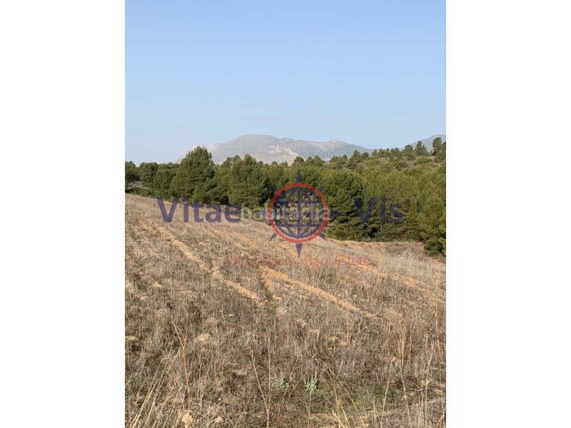 Foto d5e39fcc-5001-4e11-b258-bc96a5bcaf25. Terreno residencial en travesia fuensanta 01 parcela de secano edificable en la parroquia el cimbre en Lorca