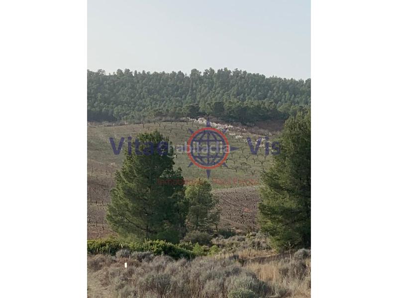 Foto f55585fc-c138-4578-a63b-0a5a1de7c508. Terreno residencial en travesia fuensanta 01 parcela de secano edificable en la parroquia el cimbre en Lorca