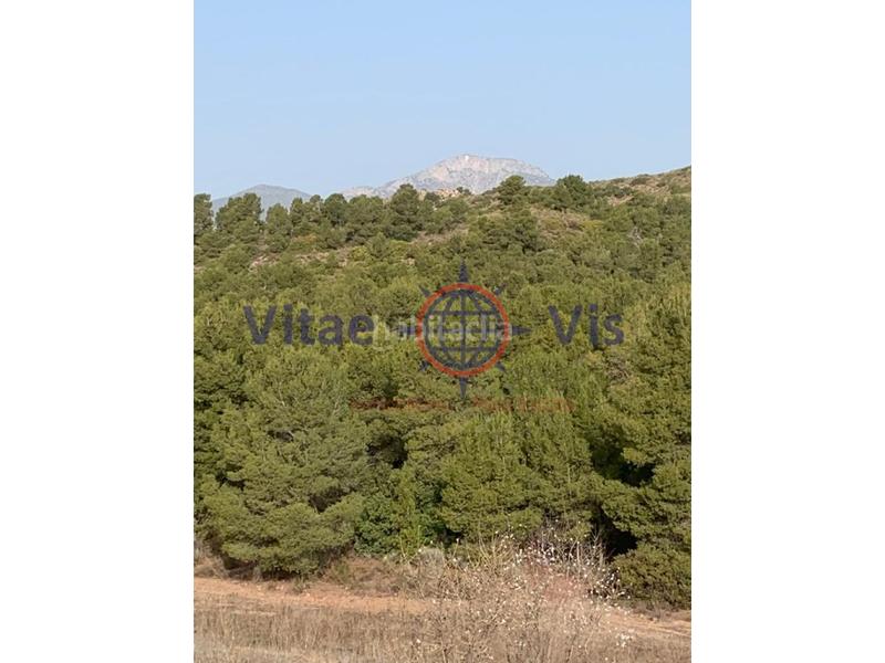 Foto f70cd130-922e-4d9a-8cfc-7aa8ffa90b1b. Terreno residencial en travesia fuensanta 01 parcela de secano edificable en la parroquia el cimbre en Lorca