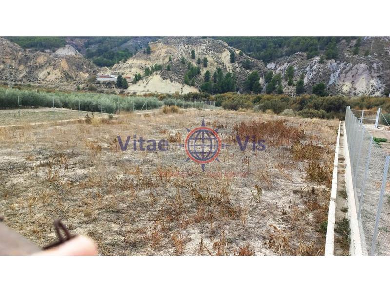 Foto 33bd461d-3e53-454b-8234-5016a7bbb1ce. Masia a Parrilla Lorca