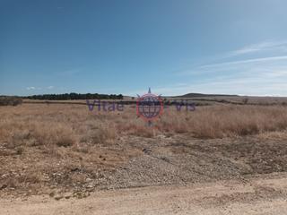 Maison à Calle petra gonzalez. Finca de regadio 6 hectareas en la paca