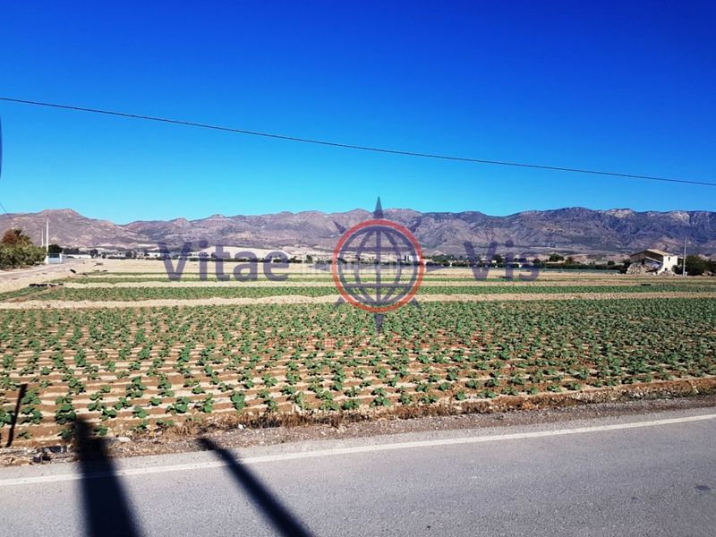 Foto 677a6723-6421-4be7-9096-181cafe39e8f. Terreny residencial a Cazalla Lorca