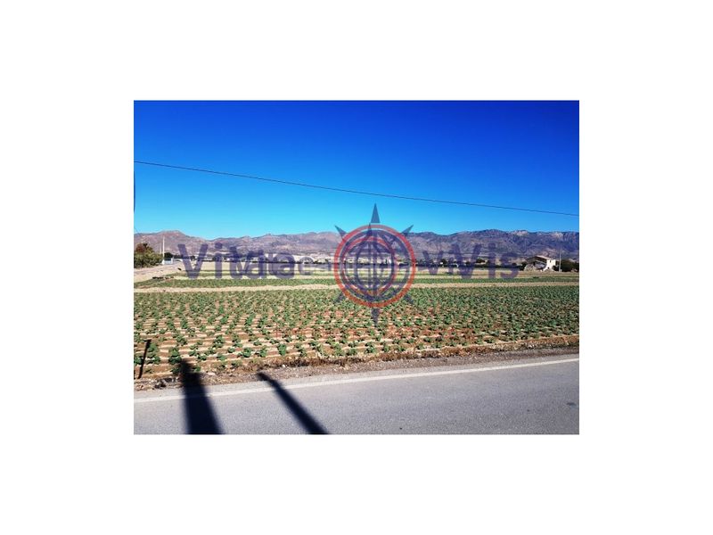 Foto e60d8c42-e88d-46d9-bdd1-fade12e158c3. Terreny residencial a Cazalla Lorca