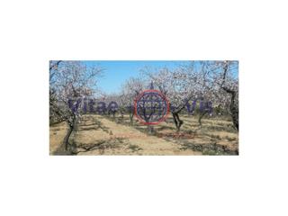 Wohngrundstück  Travesia fuensanta 01. Parcela 20.000 m2 en la parroquia