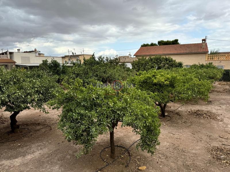 Foto d4edbac5-090b-40b6-93c0-a7af8b9ab904. Casa a calle camino viejo del puerto a San José Lorca