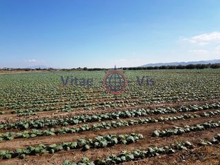 Terreno residencial en RC De Las Coles
