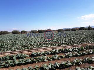 Terrain résidentiel à Diseminados cazalla. Parcela en cazalla camino puente alto  5.000 m2