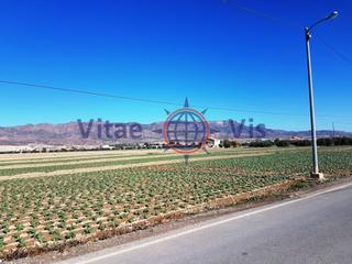 Terrain résidentiel à Diseminados cazalla. Parcela 7.200 m2 en cazalla