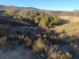 Residential Plot  Barrio los cautivos nr. Parcela 20.000 m2 en la parroquia los coroneles