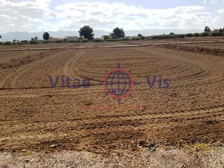 Terreno residencial en Camino de enmedio (tercia la). Parcela 6500 m2 en tercia