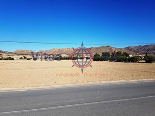 Terrain résidentiel à Poligono 169 paraje 1471 la granj. Parcela 5.800 m2 en campillo junto al colegio e iglesia
