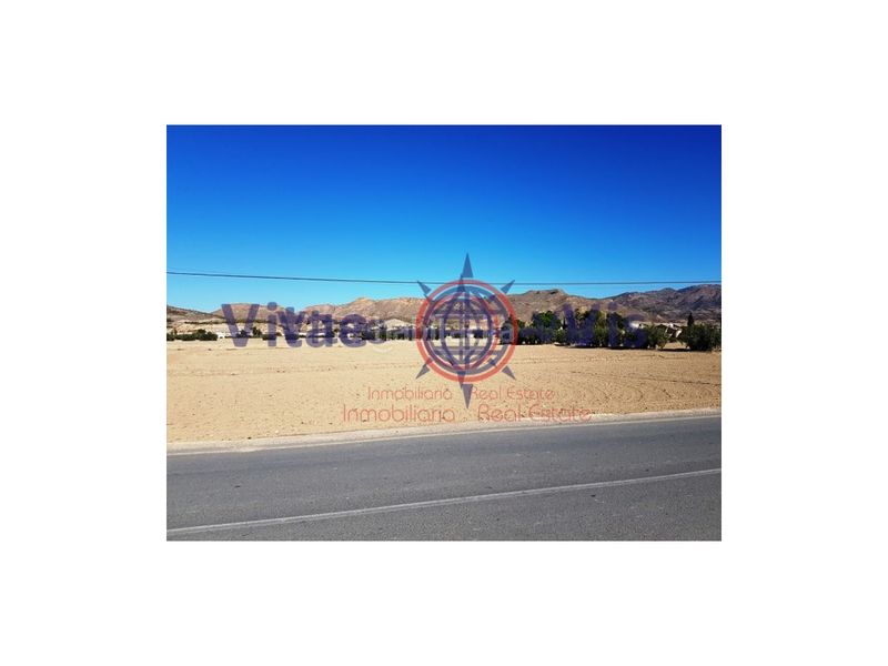 Foto ba6b01ce-0318-470d-8779-9b8132370a4e. Terreny residencial a Tiata Lorca