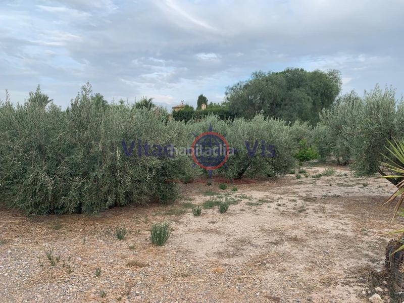 Foto 4772bb5d-3563-4b19-949c-eaa11ce3258f. Maison dans n/a dans Pulgara Lorca