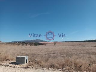 Casa  Calle petra gonzalez. Finca de regadio 6 hectareas en la paca