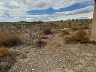 Maison à La Tova. Finca de secano en zarzalico de 35.000 m2 con caseta de 40 m2 pa