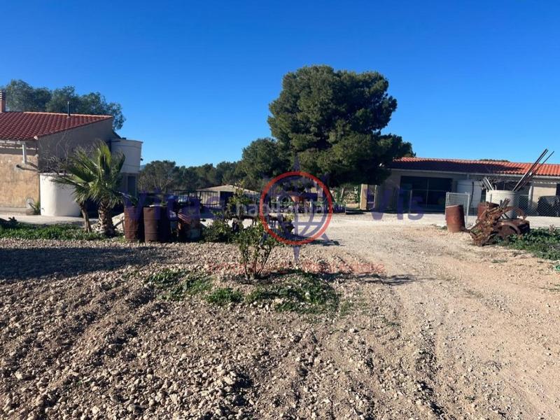 Foto 7a1884f8-bbd7-4e62-be90-7ac2d6ca6749. Casa  3 dormitorios las terreras en La Paca Lorca