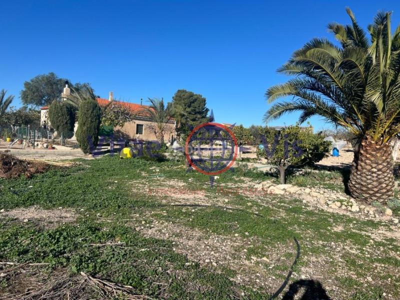 Foto 9549ec79-3bd1-47e8-94d3-54beb58eaa7d. Casa  3 dormitorios las terreras en La Paca Lorca