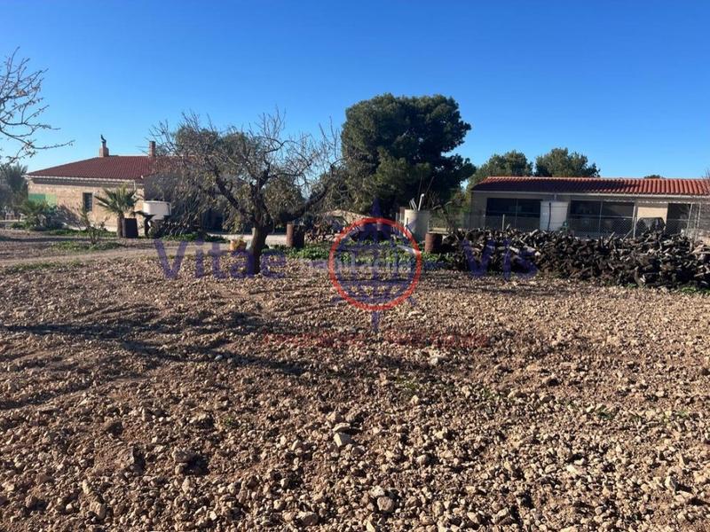 Foto bc2a897e-d5b6-4dc4-b622-7987ec8b0d29. Casa  3 dormitorios las terreras en La Paca Lorca