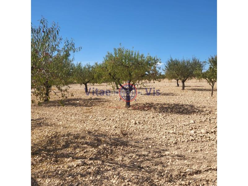 Foto d0bf5730-d616-4922-96a3-a86ac9deb54a. Casa  3 dormitorios las terreras en La Paca Lorca