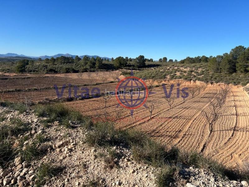 Foto de3c3686-ee25-482e-8944-9a26780f488e. Casa  3 dormitorios las terreras en La Paca Lorca