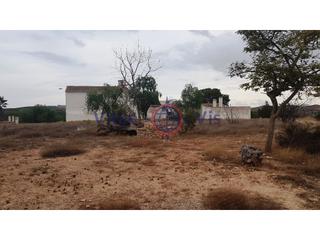 Masía  Almendricos. Cortijo con 5 hectáreas en la montaña turismo rural