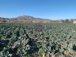 Terrain résidentiel  Calle camino viejo del puerto. Parcela  la torrecilla