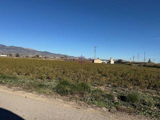 Industrial plot  Poligono 34 paraje 138 lebor bajo. Parcela industrial con nave