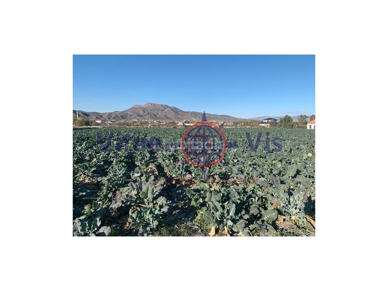 Foto 67b9a1ac-44fd-4b26-a64c-a5c24eb9e16a. Terreny residencial a Torrecilla Lorca