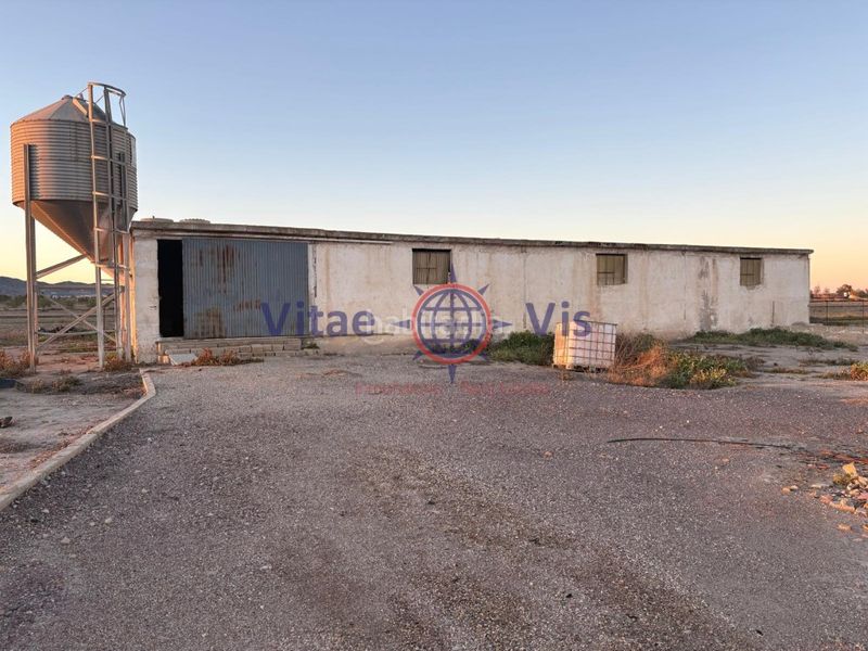 Foto fb7e9f9e-39c4-4584-8cde-666d509fe06e. Nau industrial a Campillo Lorca