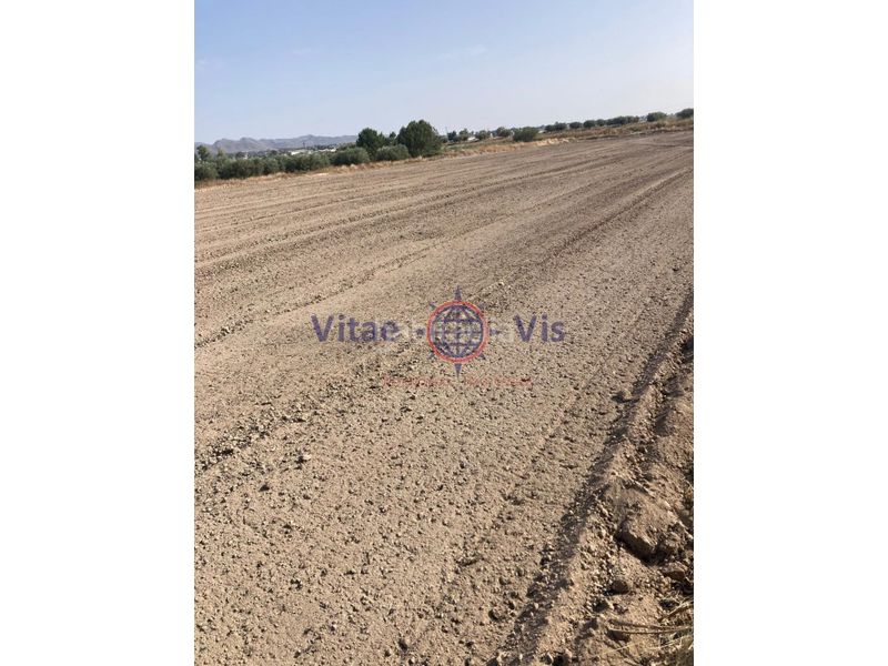Foto e63323d1-d77e-48bb-ae90-6dfbff2977d9. Terreny residencial a Cazalla Lorca