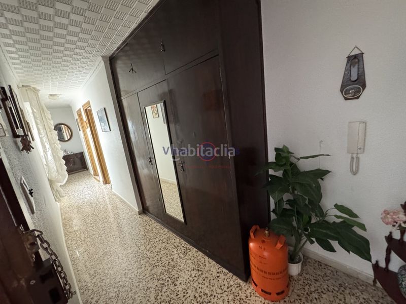 Foto bc670115-b4a5-43e2-913a-96a85c572c76. Pis a San Mateo Lorca