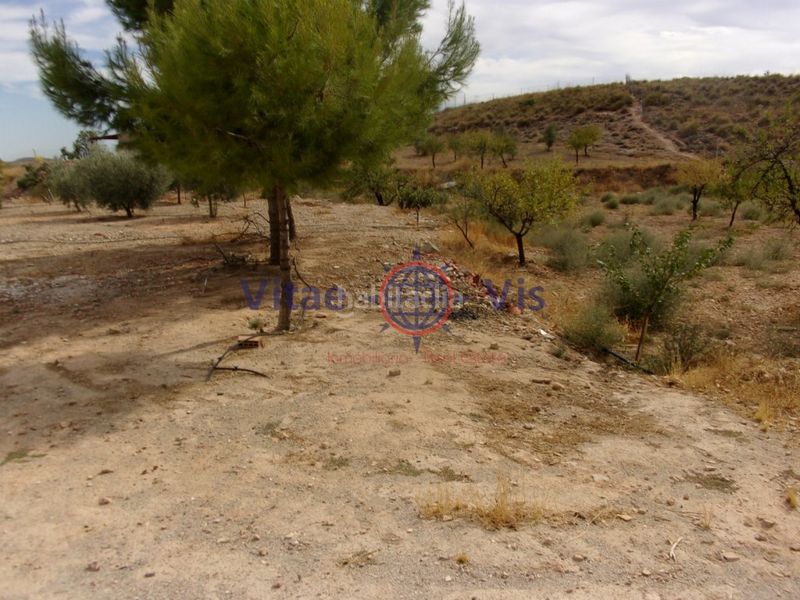 Foto d25e6c62-f754-40d7-8abb-e35720dce65c. Casa a Zarcilla de Ramos Lorca