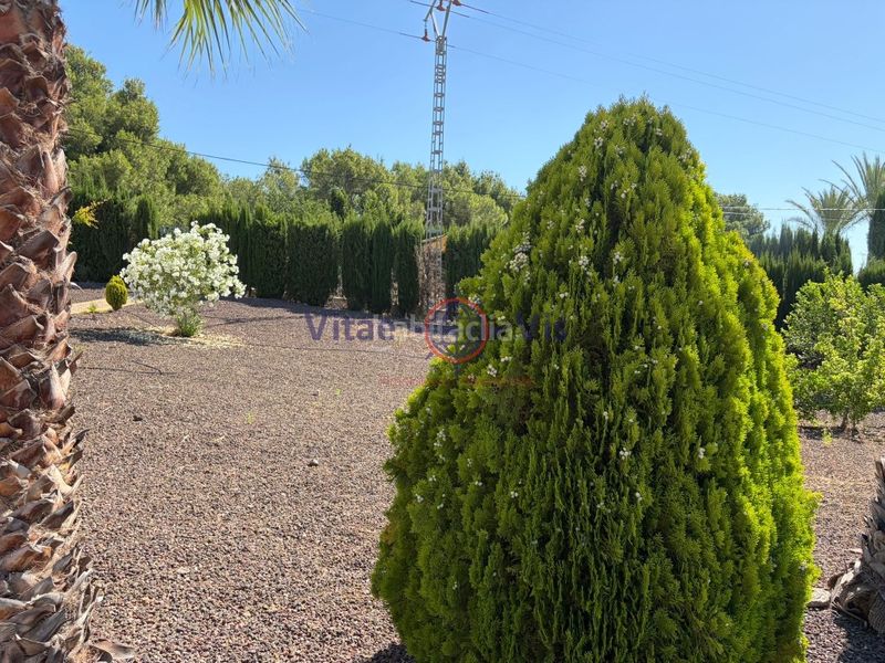 Foto 455bff28-5560-4cf1-ac21-63ed28a8c376. Casa amb aparcament piscina a Totana