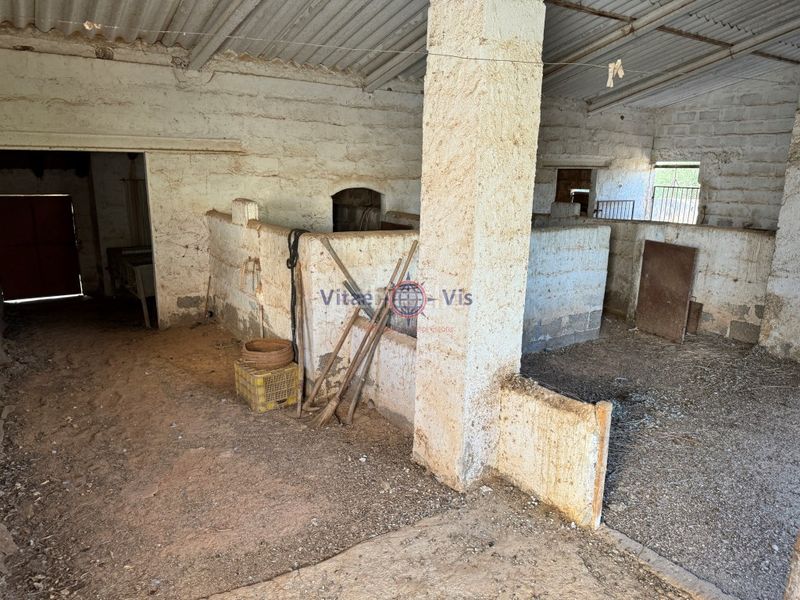 Foto cbca3762-86bb-4164-bfd9-07064b164b26. Casa  con 3.000 m2 de parcela Campillo en Campillo Lorca