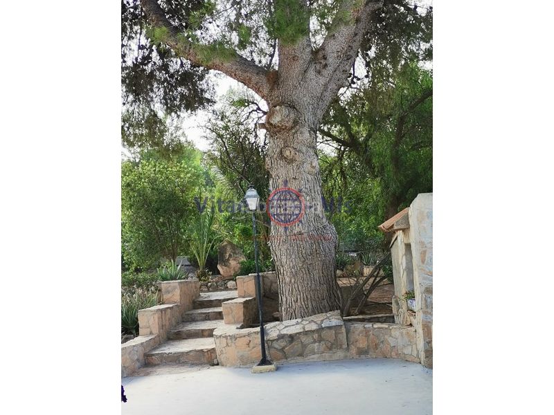 Foto 5897844d-bd70-4799-a464-05fbc7d660da. Casa amb aparcament a Purias Lorca