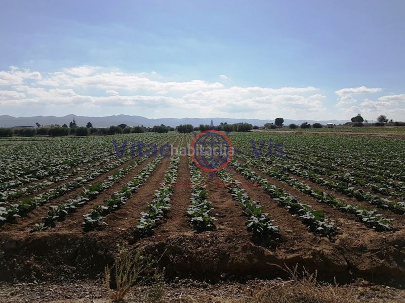 Foto a1757f57-b0c9-4d0d-959d-488bfb240192. Casa a La Hoya Lorca