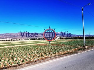 Terreno residenziale in Diseminados Tercia La
