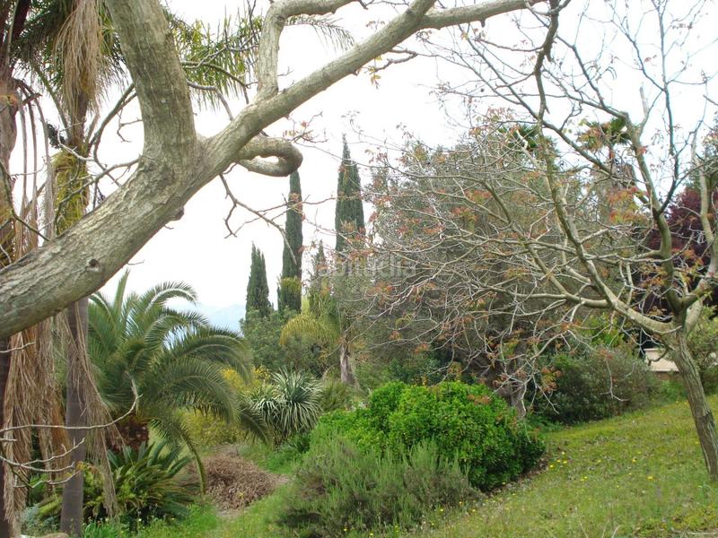 Foto e29bf81f-0079-491e-a8b3-50bb326b46ca. Masia amb calefacció aparcament piscina a Es Blanquer Inca